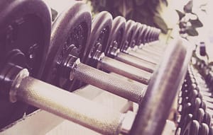 dumbbells on a rack