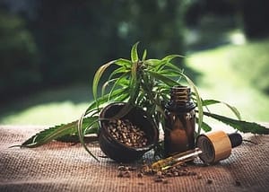 cbd oil dosing