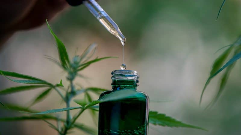 How to Choose the Best CBD Brands post thumbnail image